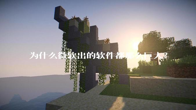 为什么微软出的软件都那么巨大？
