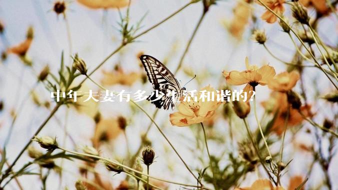 中年夫妻有多少生活和谐的？