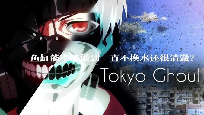 鱼缸能不能做到一直不换水还很清澈？