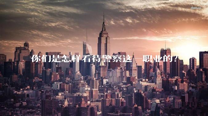 你们是怎样看待警察这一职业的？