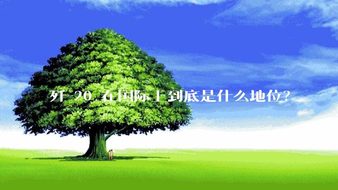 歼-20 在国际上到底是什么地位？