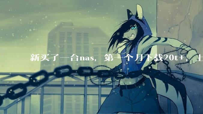 新买了一台nas，第一个月下载20t+，上传5+，不会被网警盯上吧?