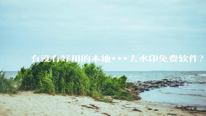 有没有好用的本地***去水印免费软件？