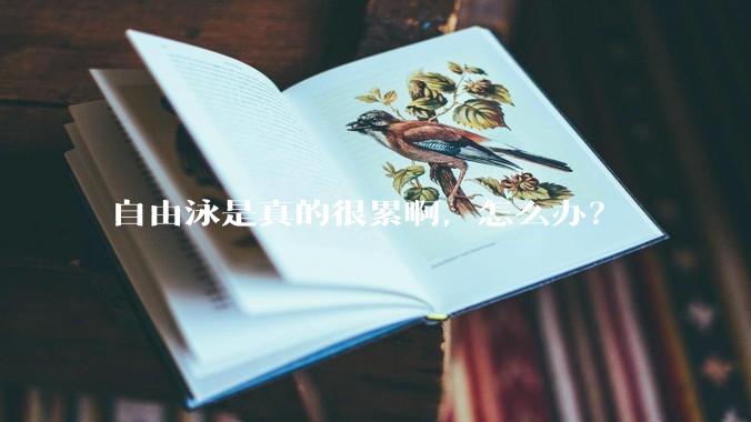 自由泳是真的很累啊，怎么办？